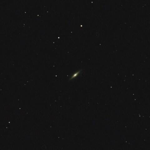 NGC3115 スピンドル銀河 ろくぶんぎ座