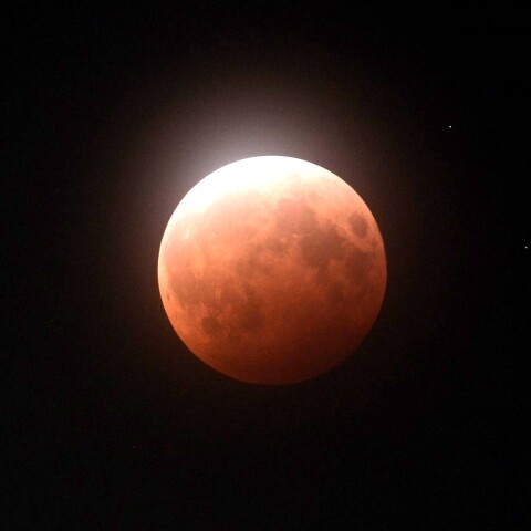 スーパームーン食 2021/05/26