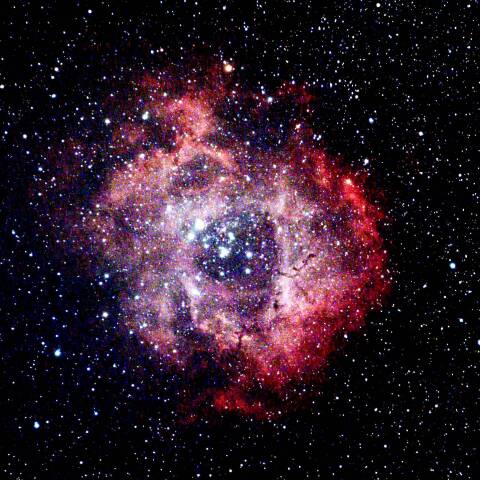 NGC2237 バラ星雲