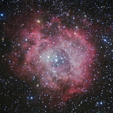 NGC2237  バラ星雲