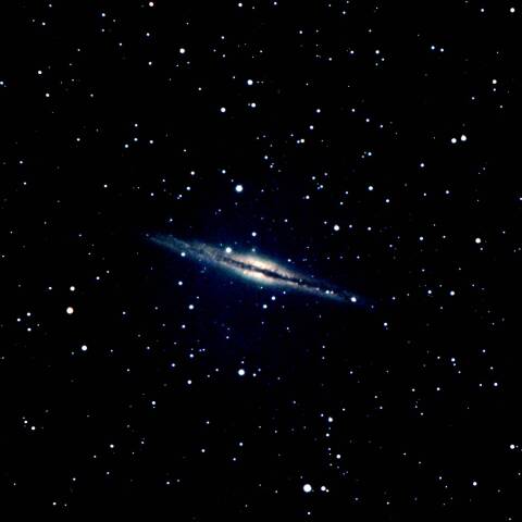 NGC891 エッジオン銀河　アンドロメダ座