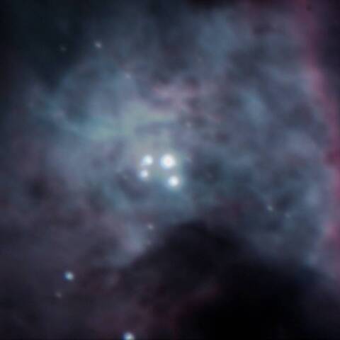 トラペジウム M42 オリオン座