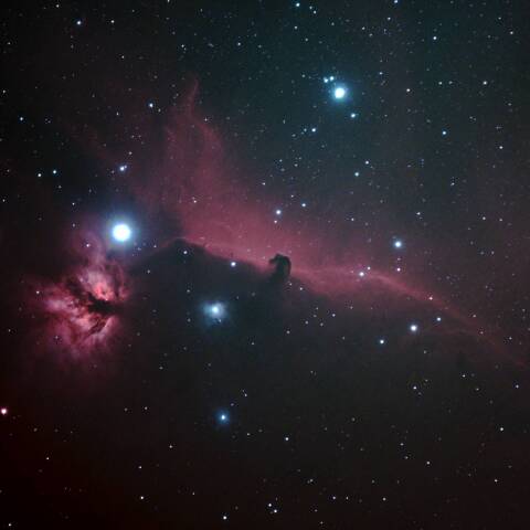 IC434 馬頭星雲　オリオン座