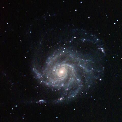 M101 回転花火銀河 おおぐま座