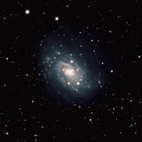 NGC2403 渦巻き銀河 きりん座