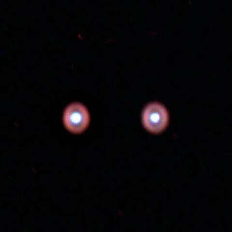 IC418 惑星状星雲 うさぎ座