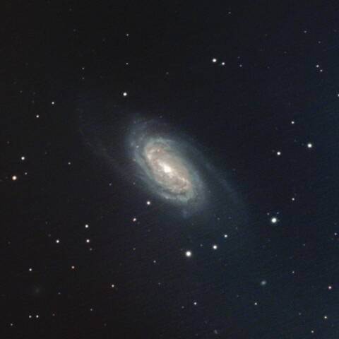 NGC2903 渦巻銀河 しし座