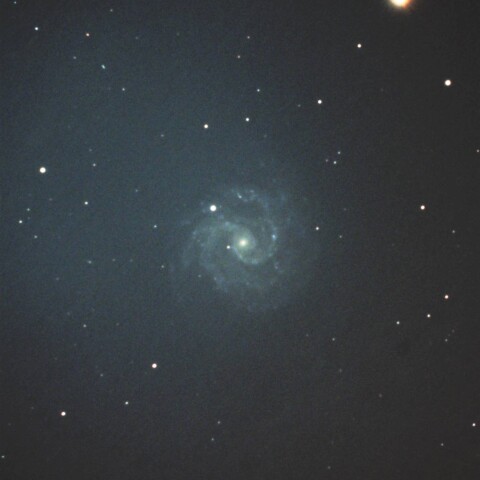 NGC3184 渦巻銀河 おおぐま座
