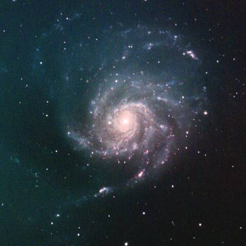 M101 回転花火銀河 おおぐま座