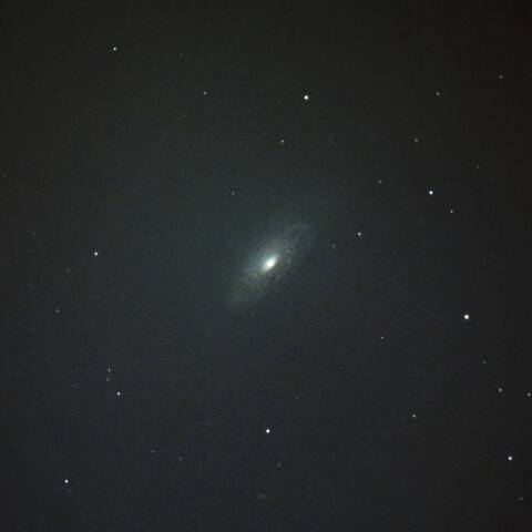 NGC3521 渦巻銀河 しし座
