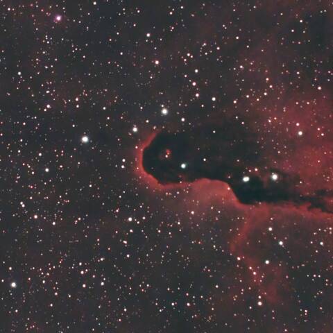 IC1396 象の鼻星雲 ケフェウス座
