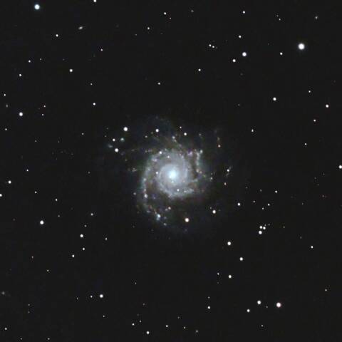 M74 渦巻星雲 うお座