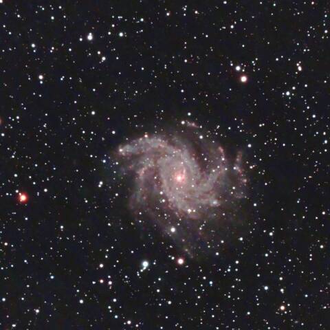 NGC6946 花火銀河 ケフェウス座