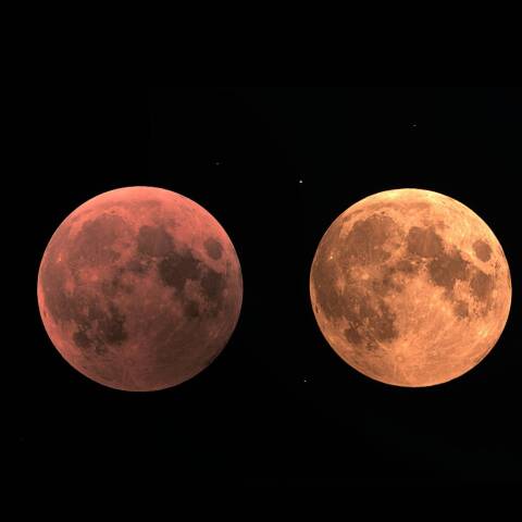 Blood MoonとBeaver Moon 2022/11/08