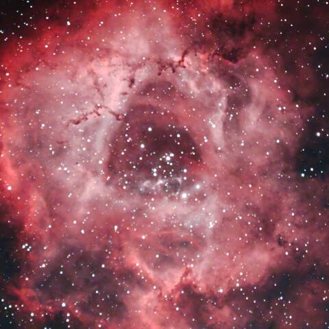 NGC2237 バラ星雲 いっかくじゅ座