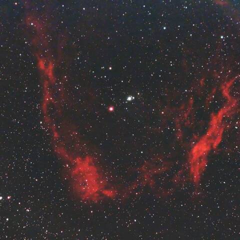 Sh2-129  フライングバット星雲　ケフェウス座
