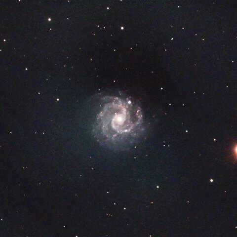 NGC3184 渦巻銀河 おおぐま座