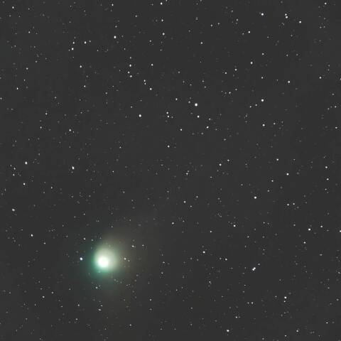 ZTF彗星 2023/01/29 きりん座