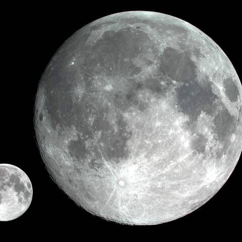 ３月の満月（子連れ）