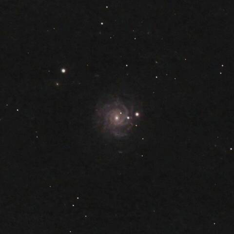 NGC3344 渦巻銀河　こしじ座
