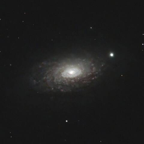 M63ひまわり銀河　りょうけん座