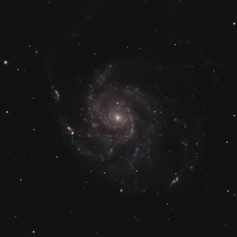 M101の超新星2023ixf 2023/05/24