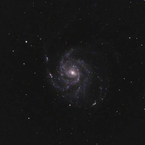 M101の超新星2023ixf 2023/06/16