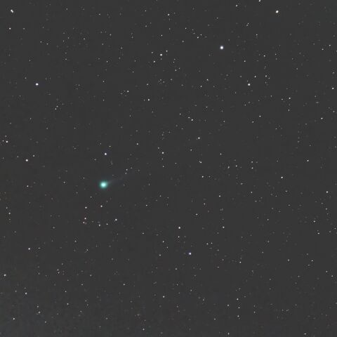 C/2023P1-20230830  西村彗星