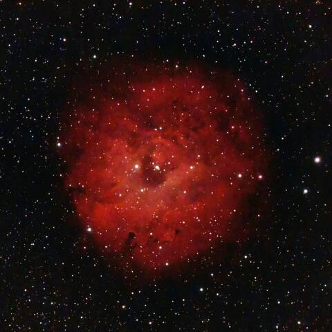 Sh2-170  小薔薇星雲　カシオペア座