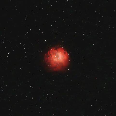 Sh2-212 散光星雲 (NGC1624 散開星団) ペルセウス座