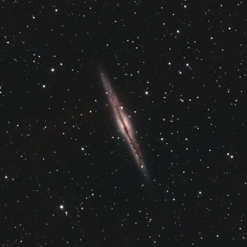 NGC891 エッジオン銀河　アンドロメダ座