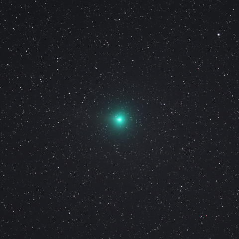 10月24日 スワン彗星