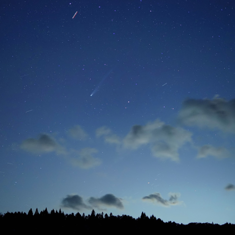 10月23日レモン彗星