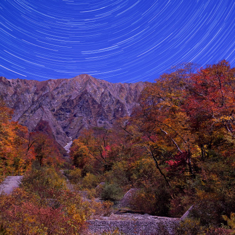 月夜の大山三の沢紅葉