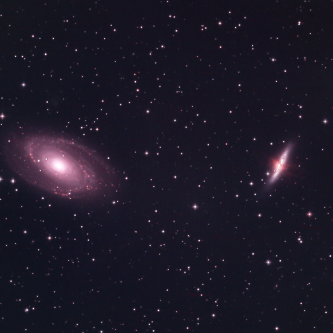 M81,82