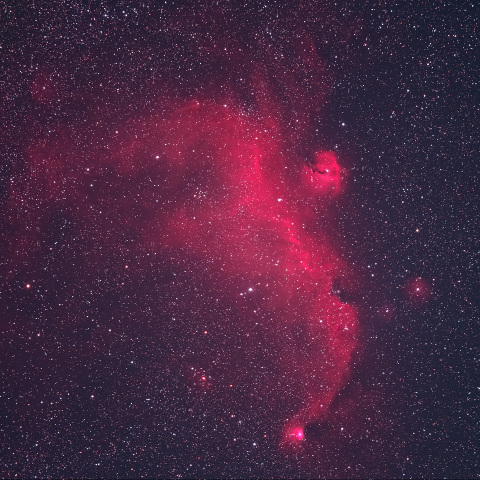 IC2177 かもめ星雲