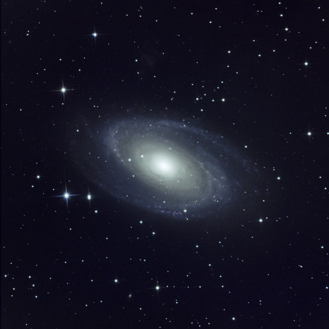 M81