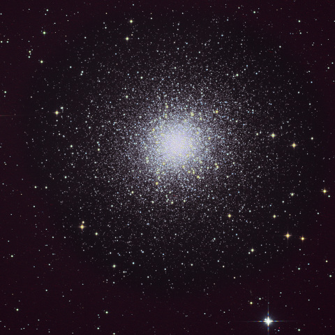 Ｍ13