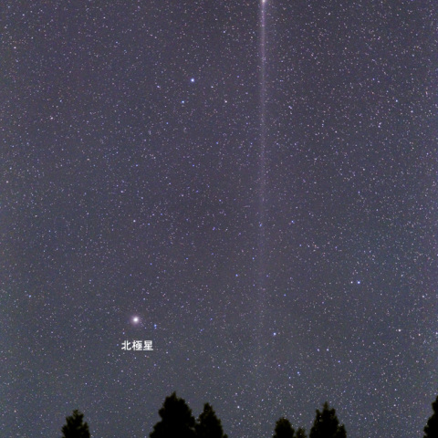 パンスターズ彗星