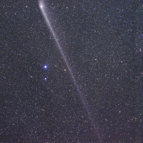 5/31パンスターズ彗星