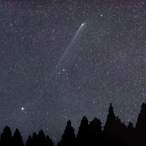 6/3パンスターズ彗星