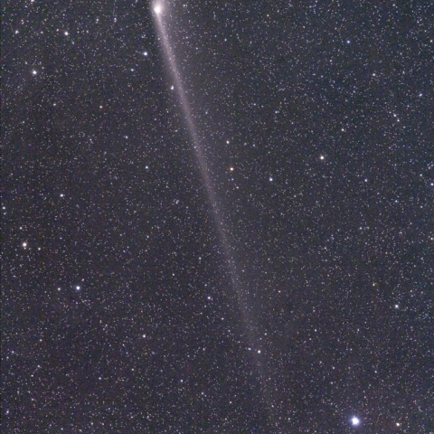 6/3パンスターズ彗星