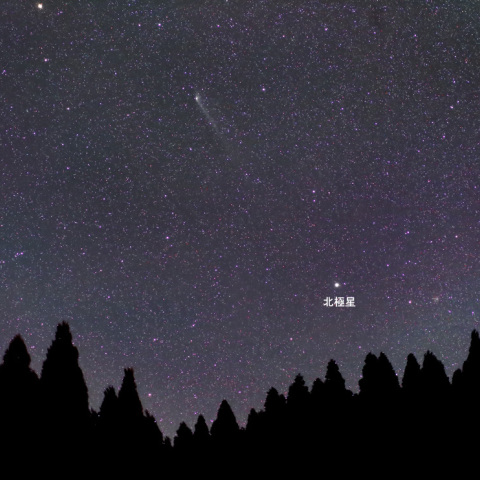 6/8パンスターズ彗星