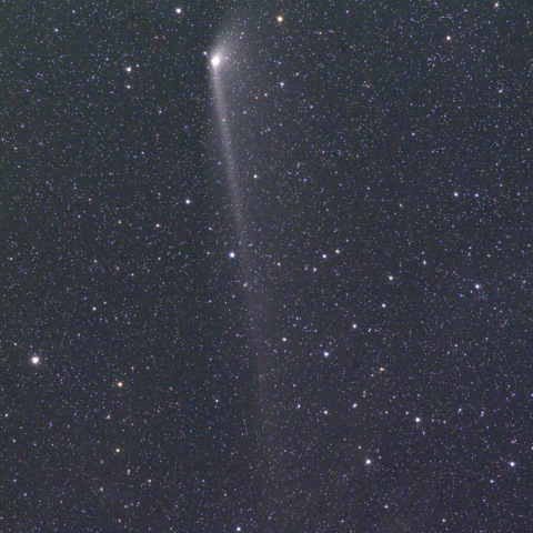 6/8パンスターズ彗星