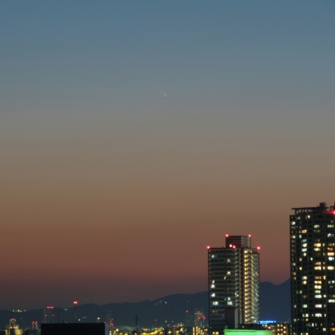 パンスターズ彗星