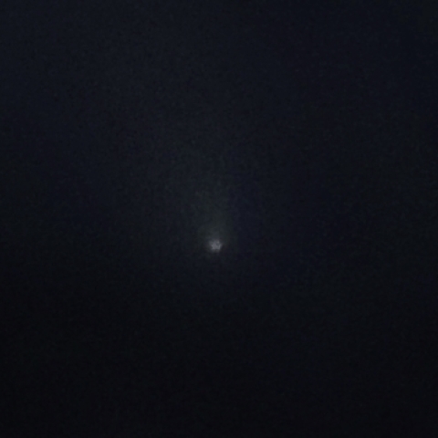 ホワイトデーのパンスターズ彗星