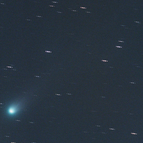 C/2025 A6　レモン彗星