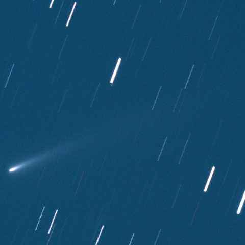 C/2025 K1　アトラス彗星　2025.11.19