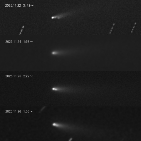 K1　アトラス彗星　2025.11.21 - 22 - 24 - 25 - 26  - 27