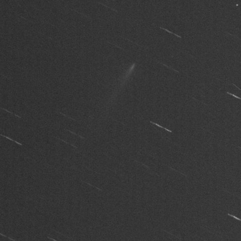 K1　アトラス彗星　2025.12.03